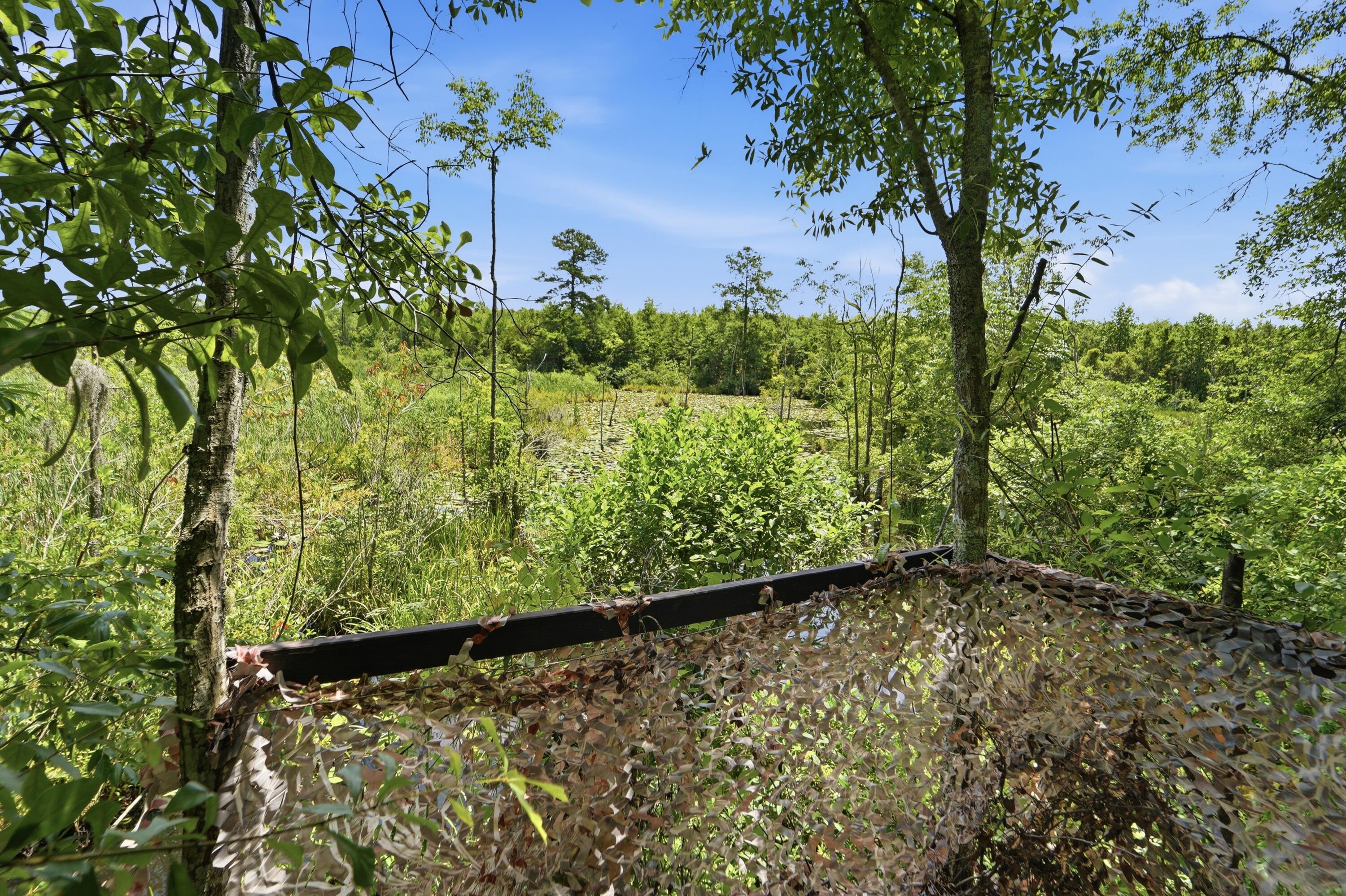 1530 Catfish Lane Manning, SC 29102 - Photo 18 of 37 hunting blind