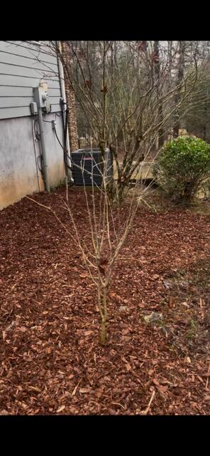 2279 Hy Top Road Young Harris, GA 30582 - Photo 20 of 33 Gallery Image 20