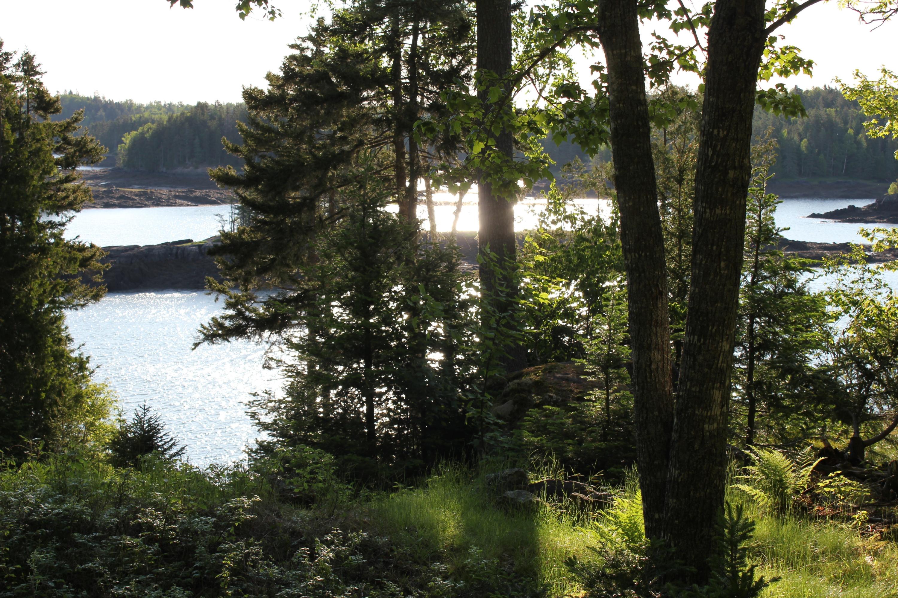 265 Coffins Neck Road Lubec, ME 04652 - Photo 17 of 22 wolcott6