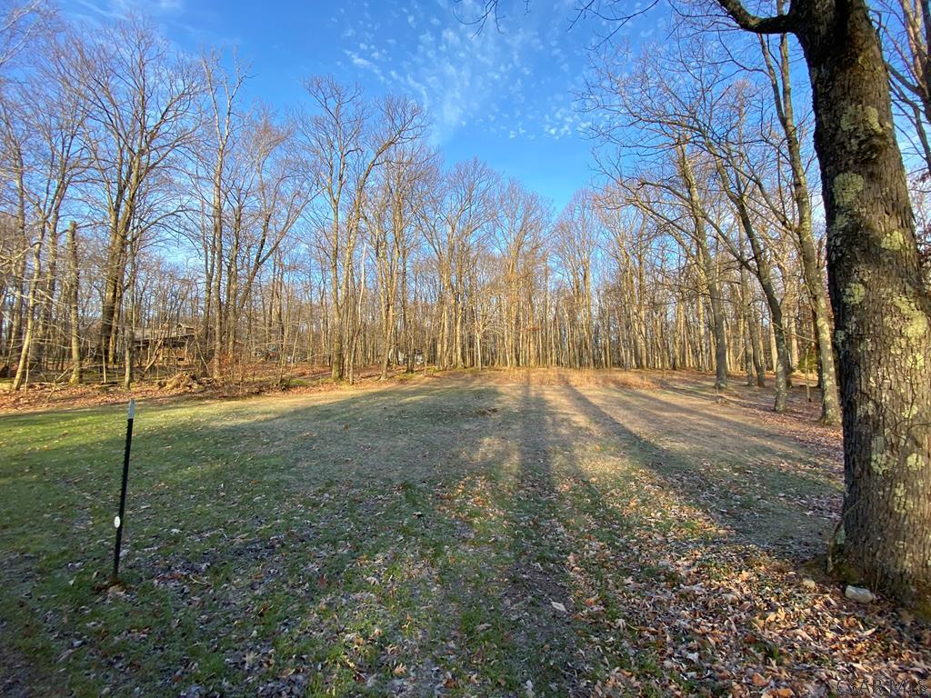 Rudder Road Ligonier, PA 15658 - Photo 8 of 12