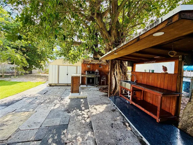 a view of a backyard with a large tree