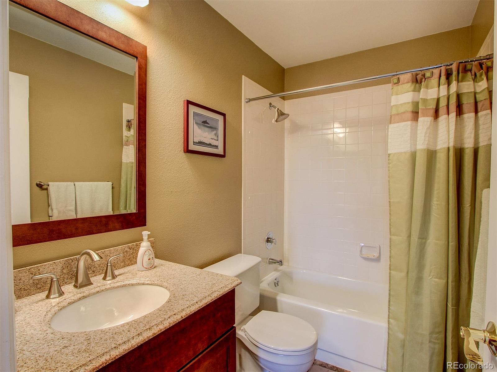 8653 Redstone Street Highlands Ranch, CO 80126 - Photo 23 of 30