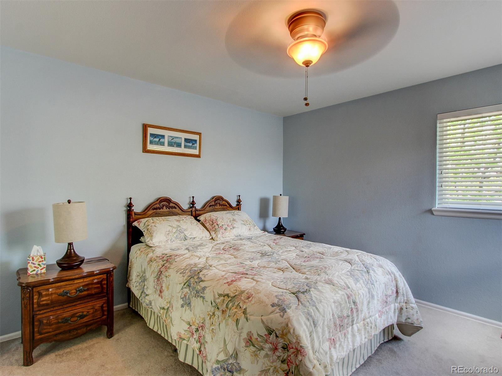 8653 Redstone Street Highlands Ranch, CO 80126 - Photo 26 of 30