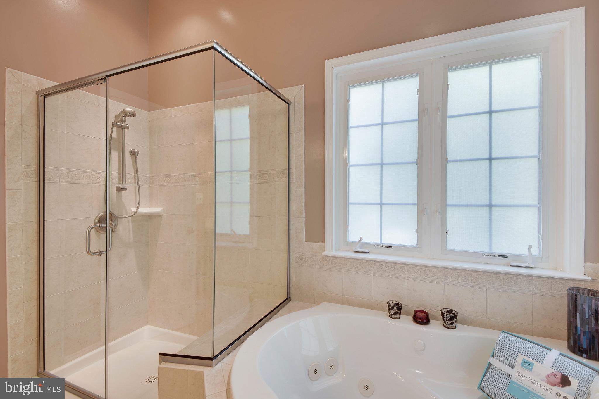 1625 Ruxton Road Edgewater, MD 21037 - Photo 13 of 30 Master bath with separate shower