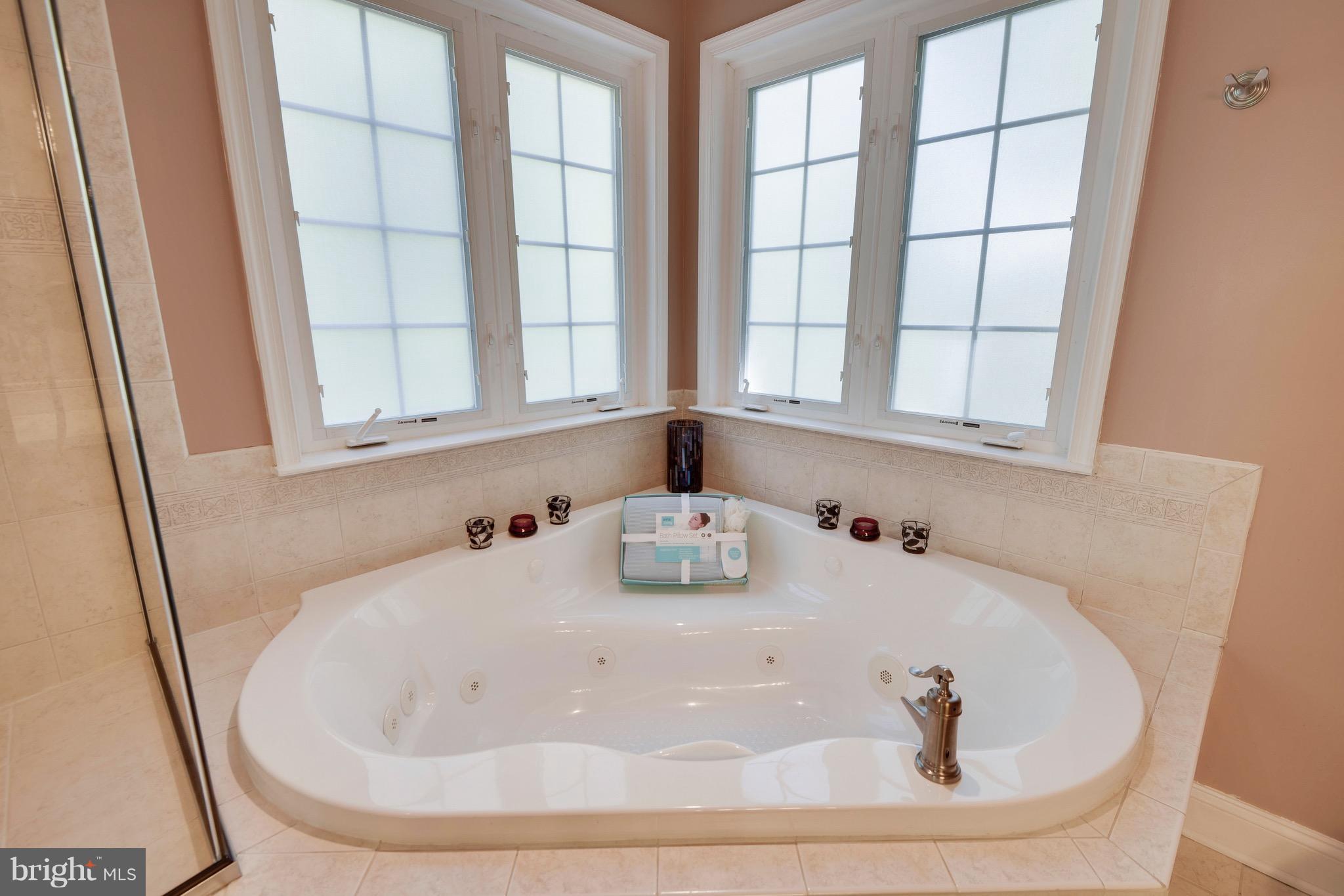 1625 Ruxton Road Edgewater, MD 21037 - Photo 14 of 30 Jacuzzi tub!)