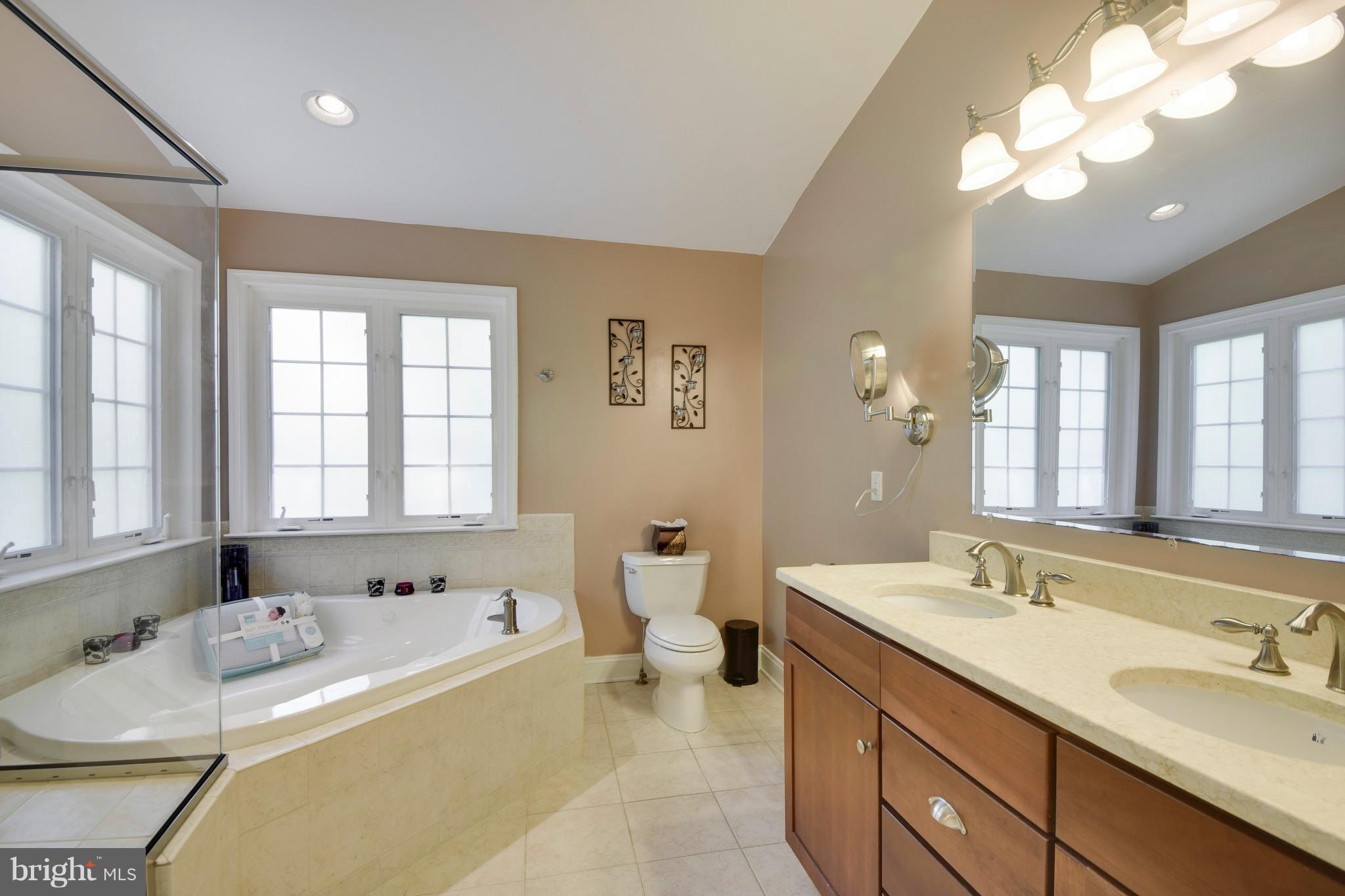 1625 Ruxton Road Edgewater, MD 21037 - Photo 15 of 30 Dual sinks