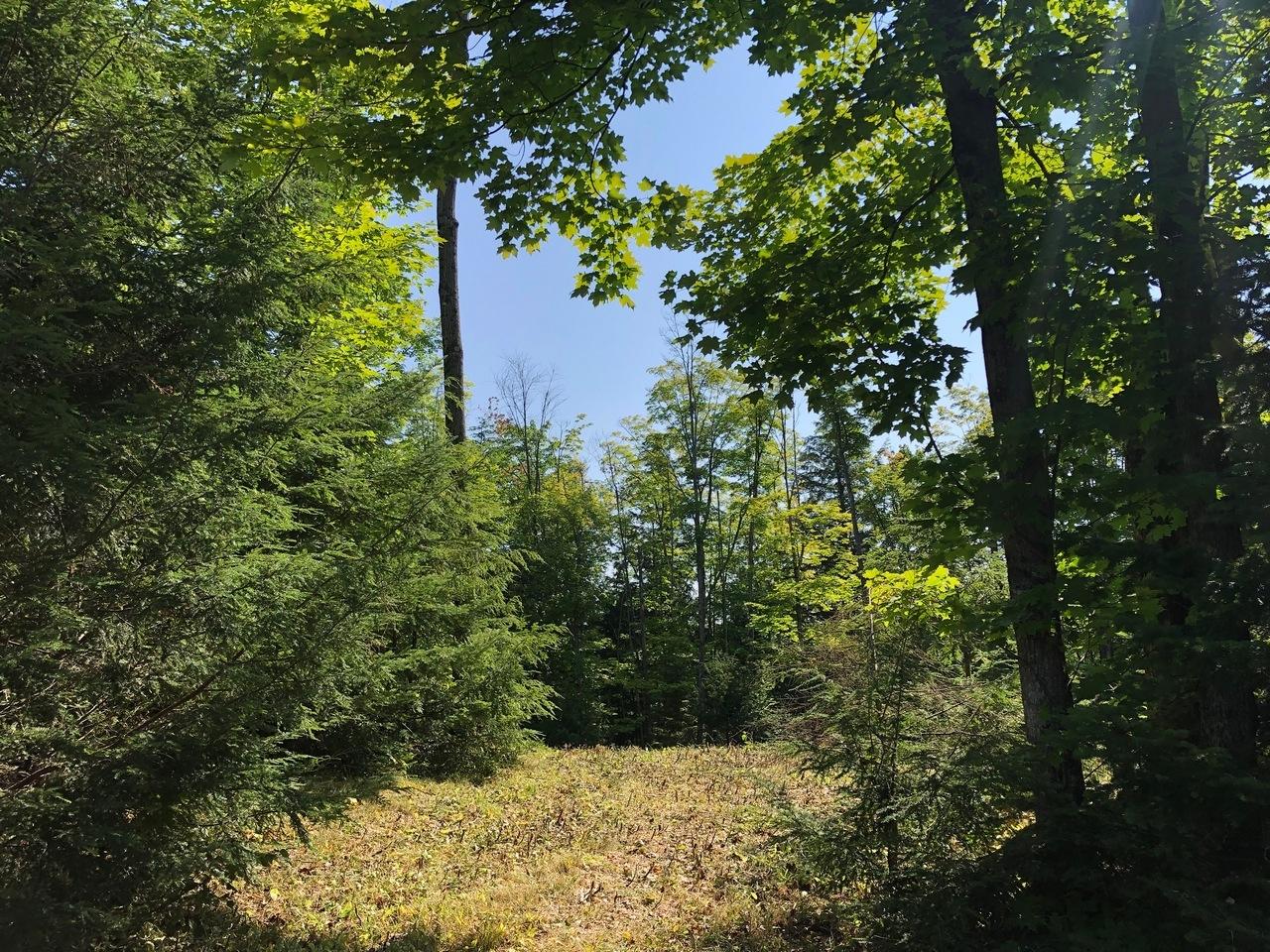 9139 Hewitt Road Mercer, WI 54547 - Photo 13 of 34 Gallery Image 13