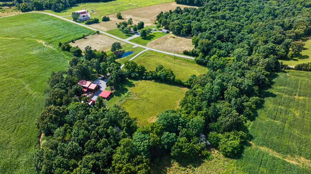3281 Mt Zoar Road Hopkinsville, KY 42240 - Photo 24 of 89