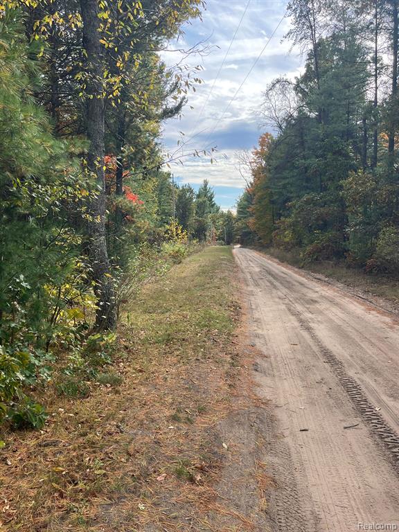 5489 Curtis Road Hale, MI 48739 - Photo 14 of 27