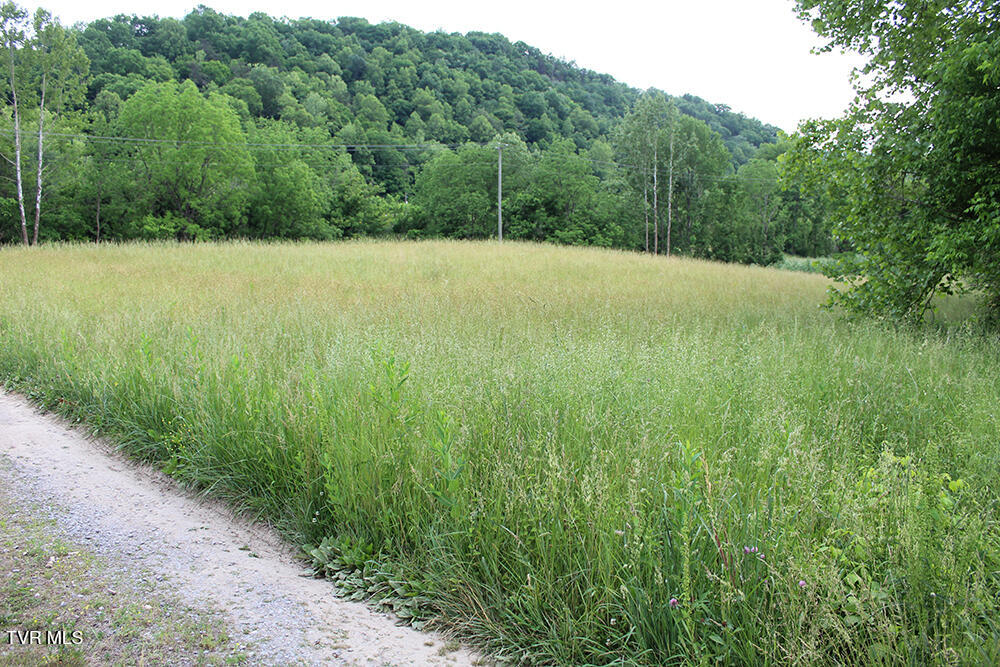 0 Key Hole Road Fort Blackmore, VA 24250 - Photo 4 of 10 IMG_6874