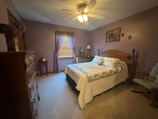 5434 920 East Clinton, IL 61727 - Photo 24 of 51