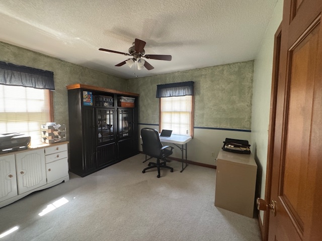 5434 920 East Clinton, IL 61727 - Photo 26 of 51