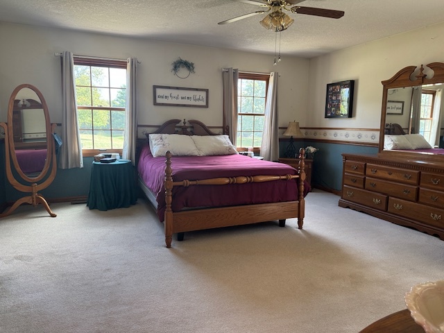 5434 920 East Clinton, IL 61727 - Photo 27 of 51