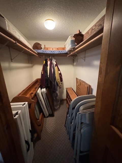 5434 920 East Clinton, IL 61727 - Photo 43 of 51