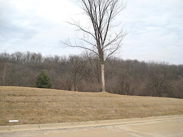 Lot 16 Ohmer Ridge Subdivision McGregor, IA 52157 - Photo 3 of 7
