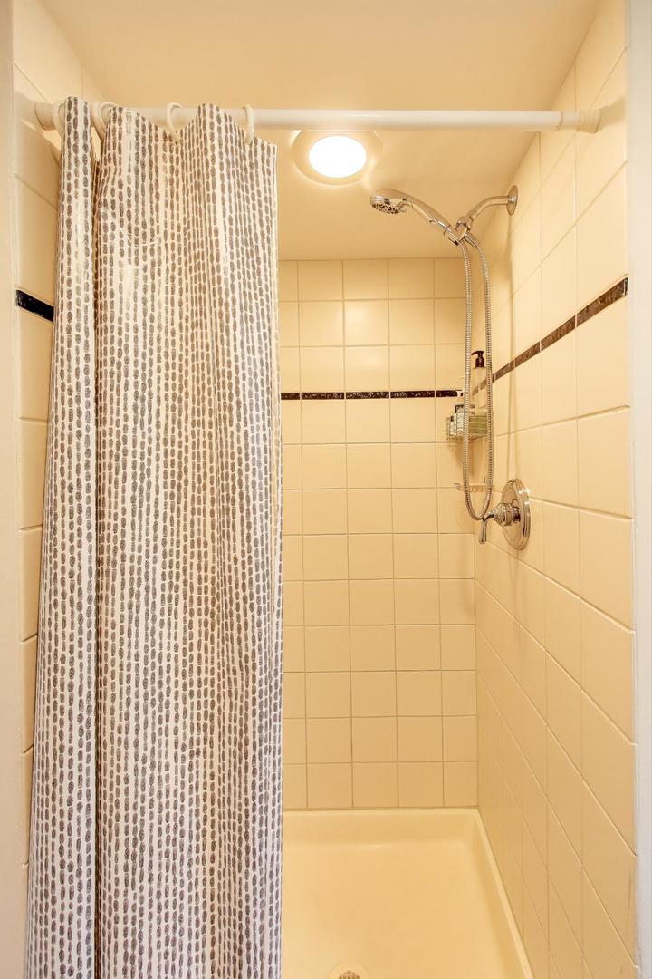 823 Jackson Avenue River Forest, IL 60305 - Photo 44 of 60 a bathroom with a shower