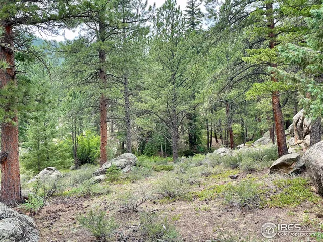 $160,000 | 0 Hemlock Drive, Lyons, CO 80540