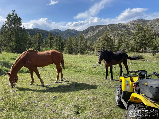 $160,000 | 0 Hemlock Drive, Lyons, CO 80540
