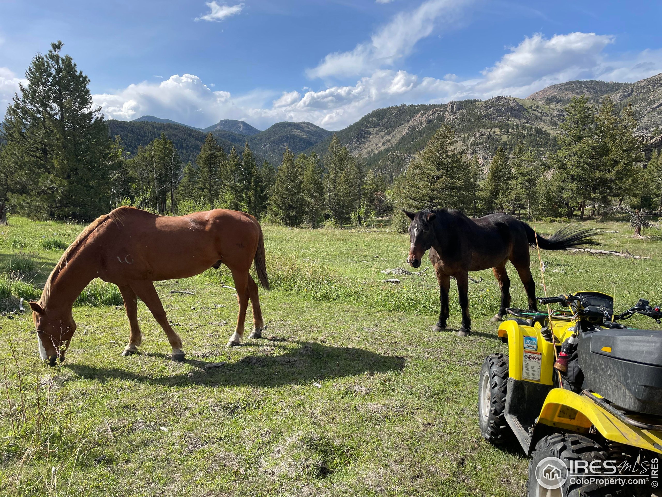 0 Hemlock Drive Lyons, CO 80540 - Photo 31 of 32 a view of yard and mountain