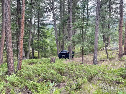 a house is sitting in middle of the forest