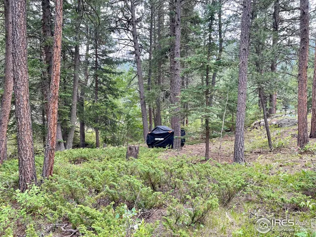 $160,000 | 0 Hemlock Drive, Lyons, CO 80540