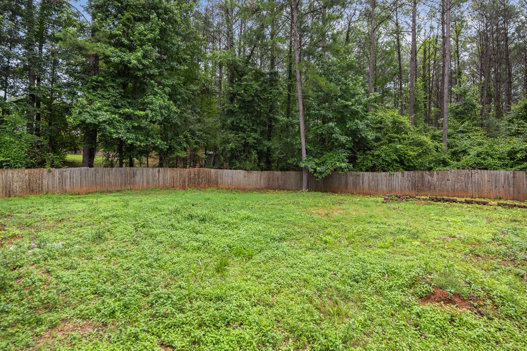 536 Mobley Road Hamilton, GA 31811 - Photo 28 of 28