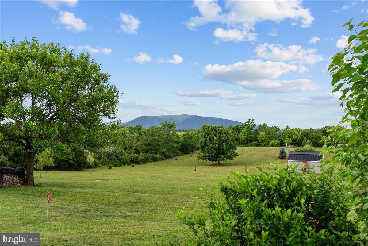 461 Veterans Road Middletown, VA 22645 - Photo 50 of 54
