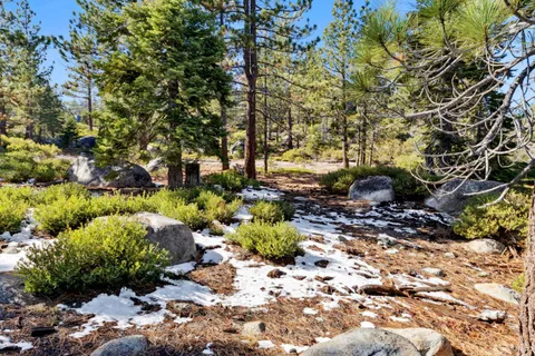 a big yard with lots of green space