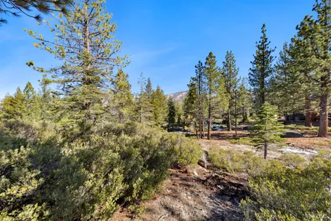 a view of a city with lots of trees
