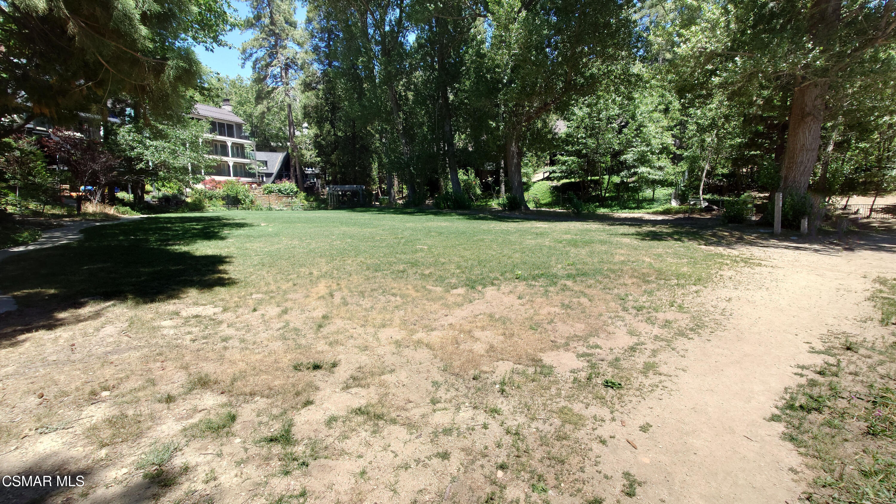 27618 West Shore Road Lake Arrowhead, CA 92352 - Photo 4 of 50 a view of a yard with plants and trees