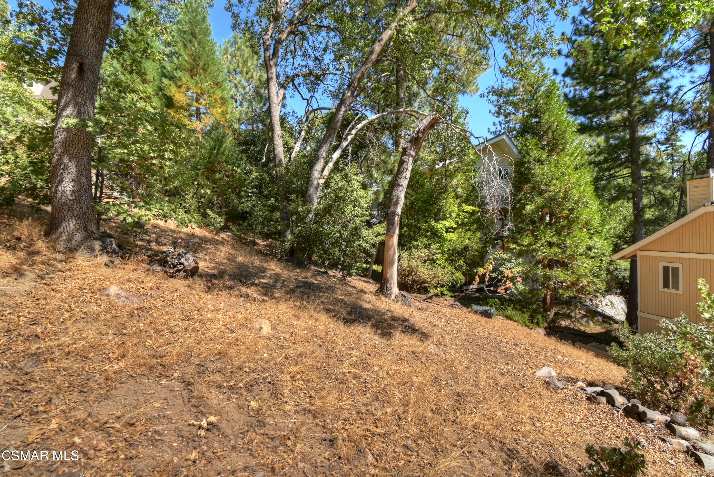 27618 West Shore Road Lake Arrowhead, CA 92352 - Photo 46 of 50 a view of a yard with plants and trees
