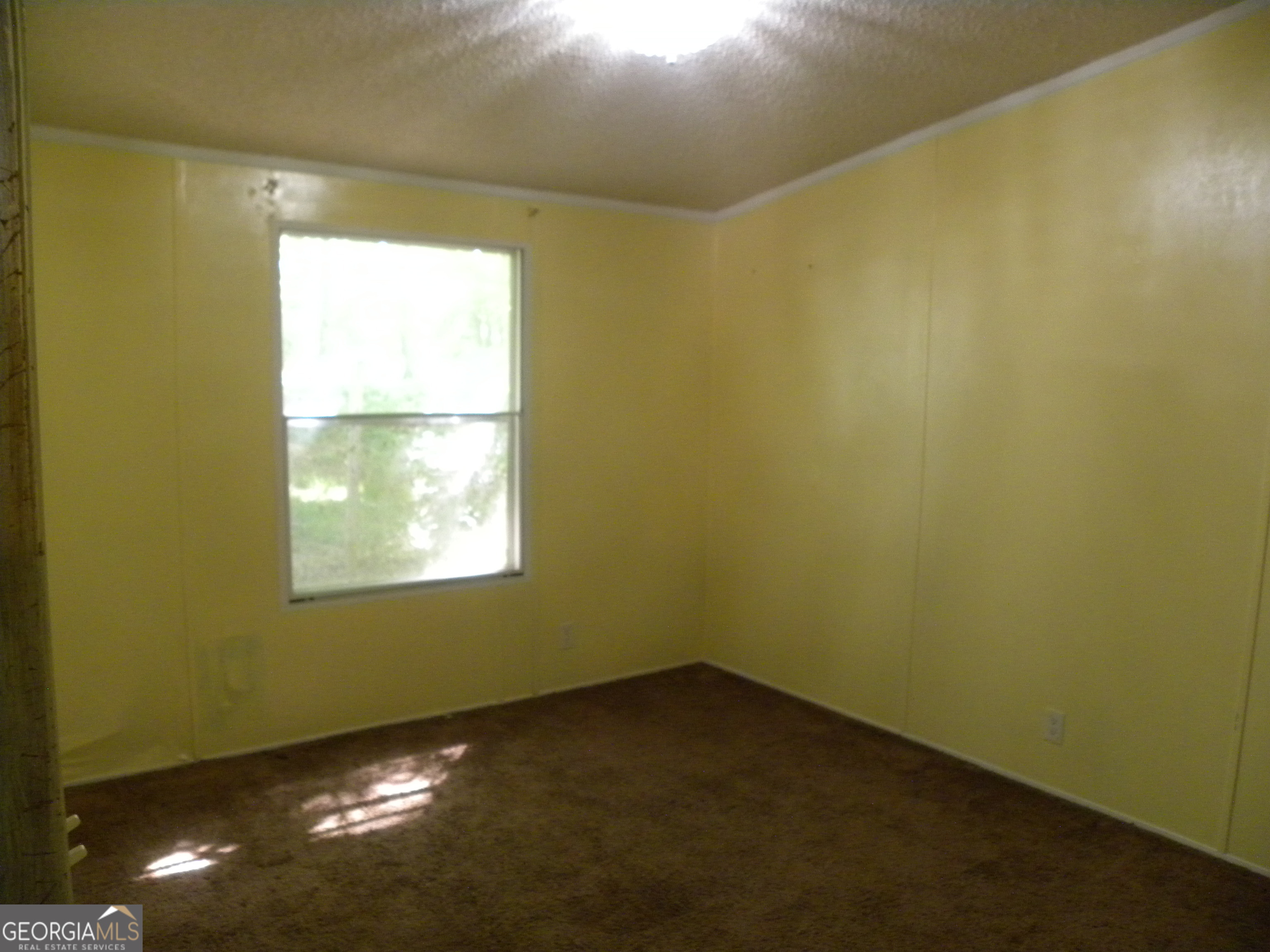 2627 Cole Road Carnesville, GA 30521 - Photo 14 of 47