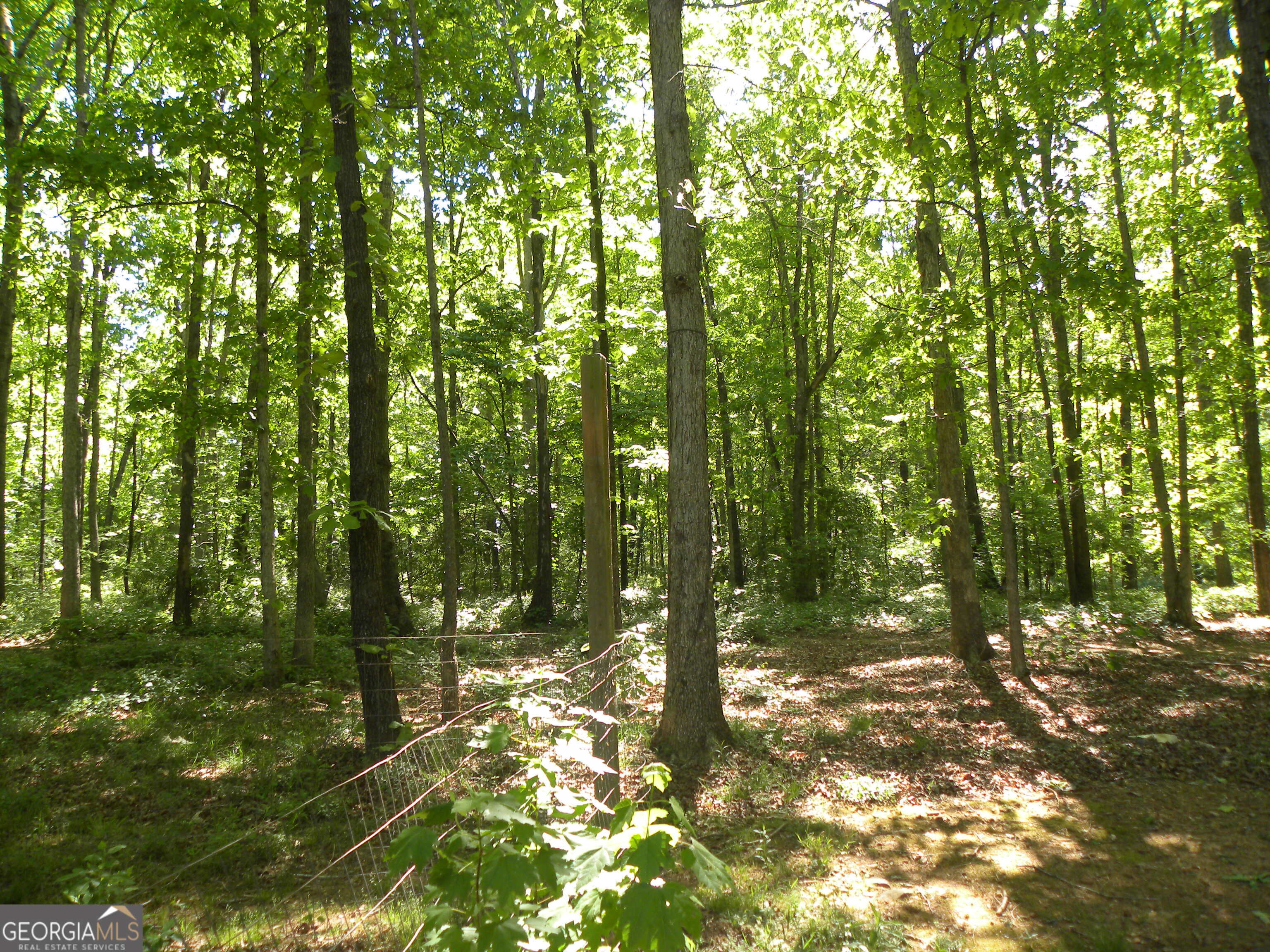 2627 Cole Road Carnesville, GA 30521 - Photo 23 of 47