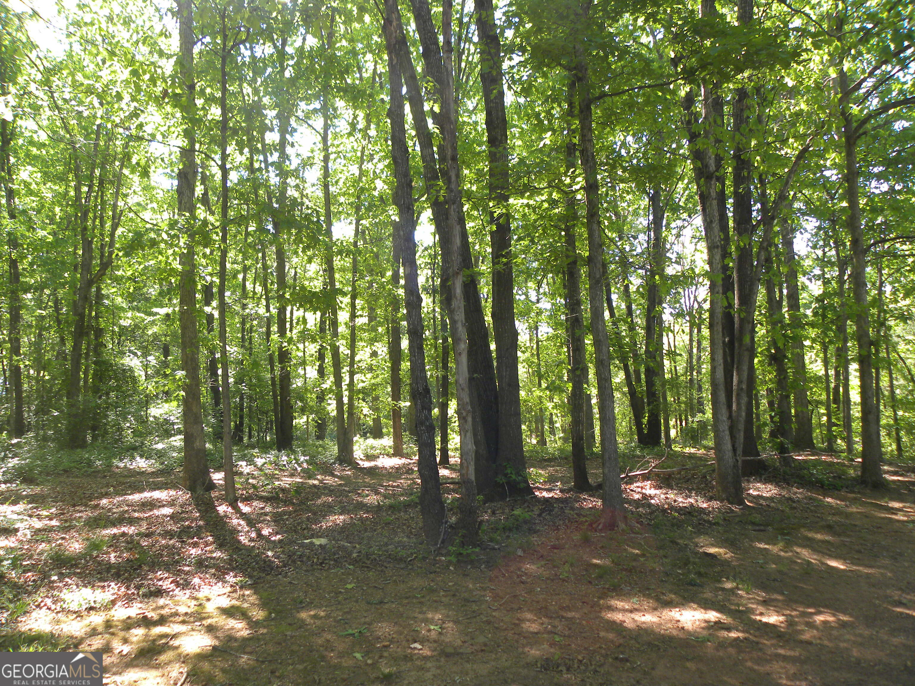 2627 Cole Road Carnesville, GA 30521 - Photo 24 of 47