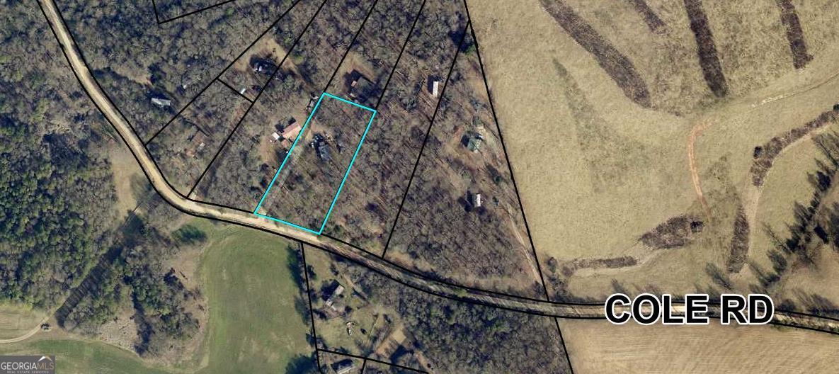 2627 Cole Road Carnesville, GA 30521 - Photo 3 of 47