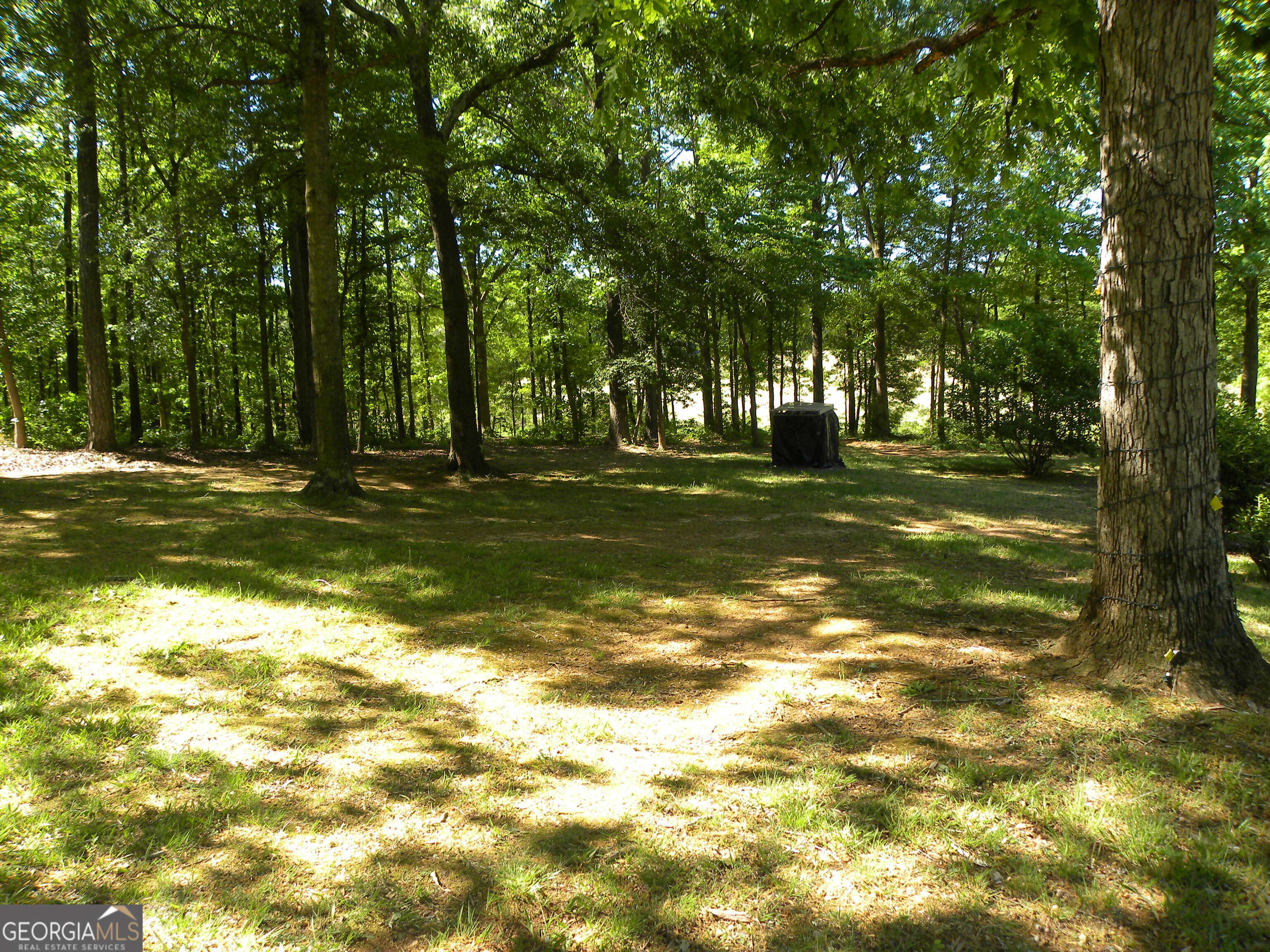 2627 Cole Road Carnesville, GA 30521 - Photo 37 of 47