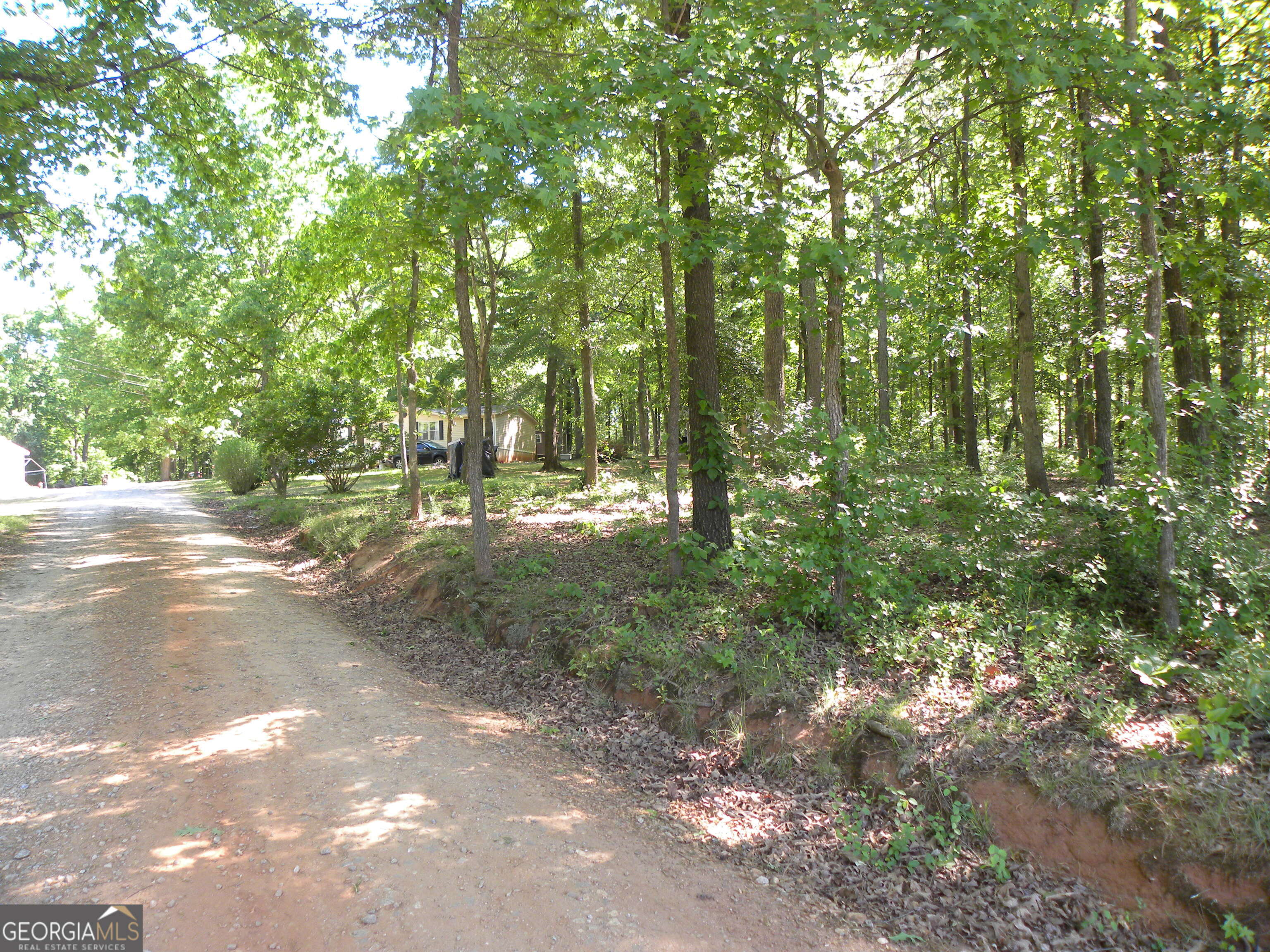 2627 Cole Road Carnesville, GA 30521 - Photo 45 of 47