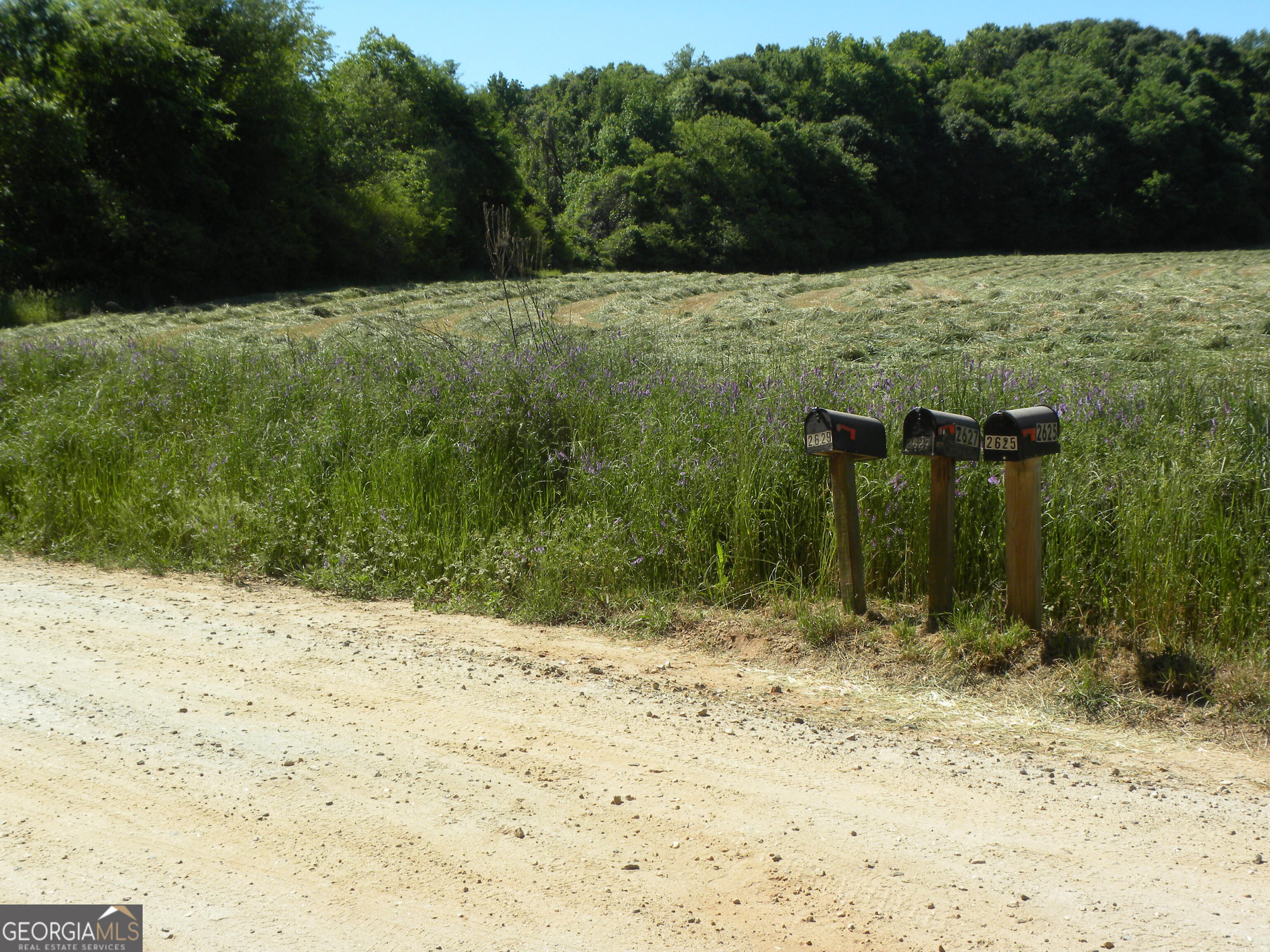 2627 Cole Road Carnesville, GA 30521 - Photo 46 of 47