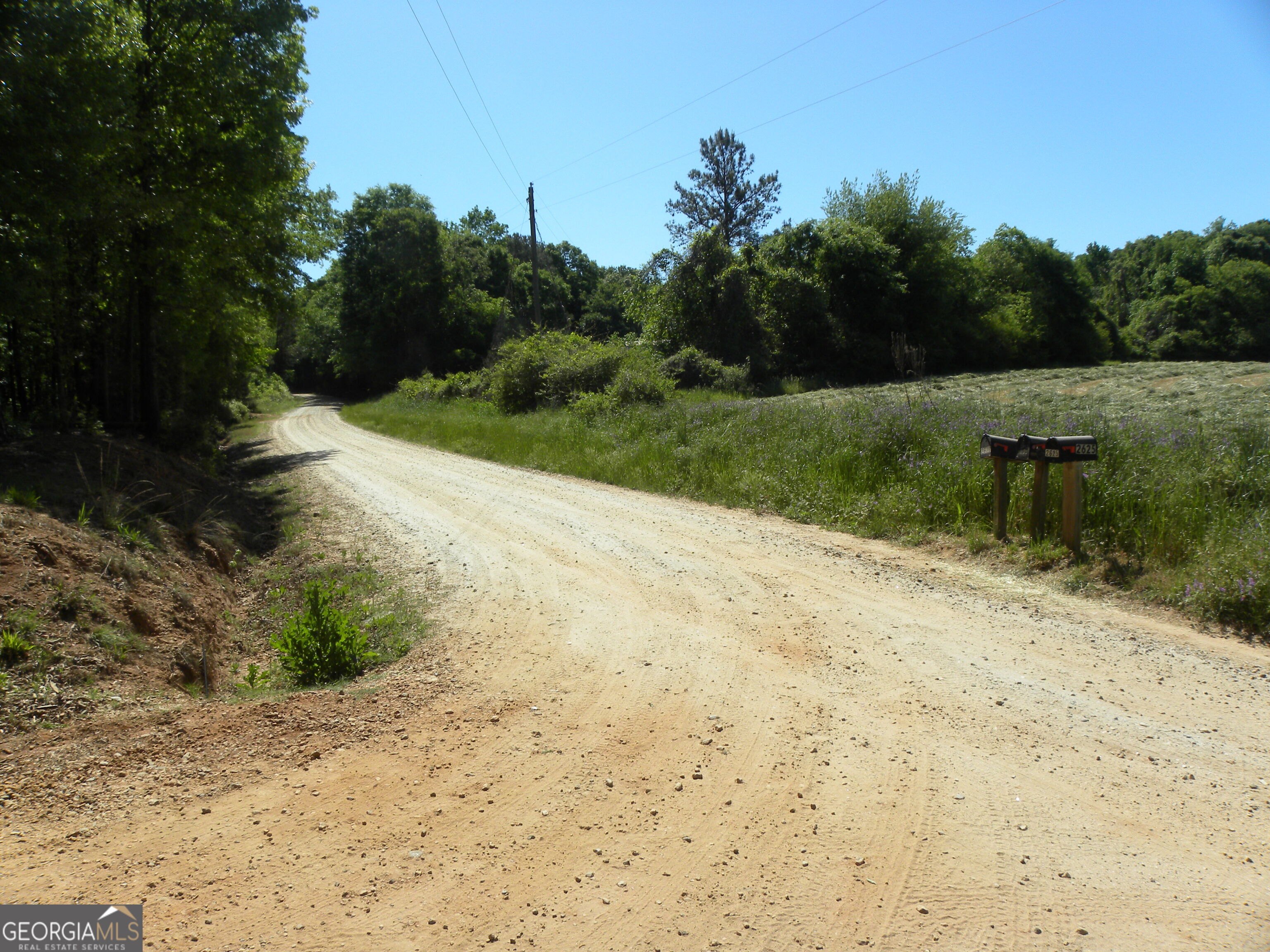 2627 Cole Road Carnesville, GA 30521 - Photo 47 of 47