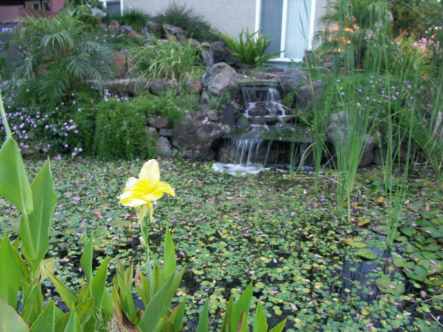 488 Dempsey Road, Unit 290 Milpitas, CA 95035 - Photo 12 of 18 Gallery Image 12