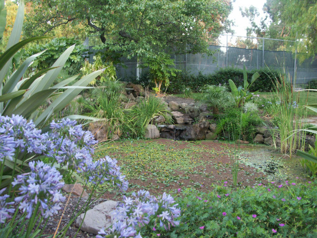 488 Dempsey Road, Unit 290 Milpitas, CA 95035 - Photo 17 of 18 Gallery Image 17