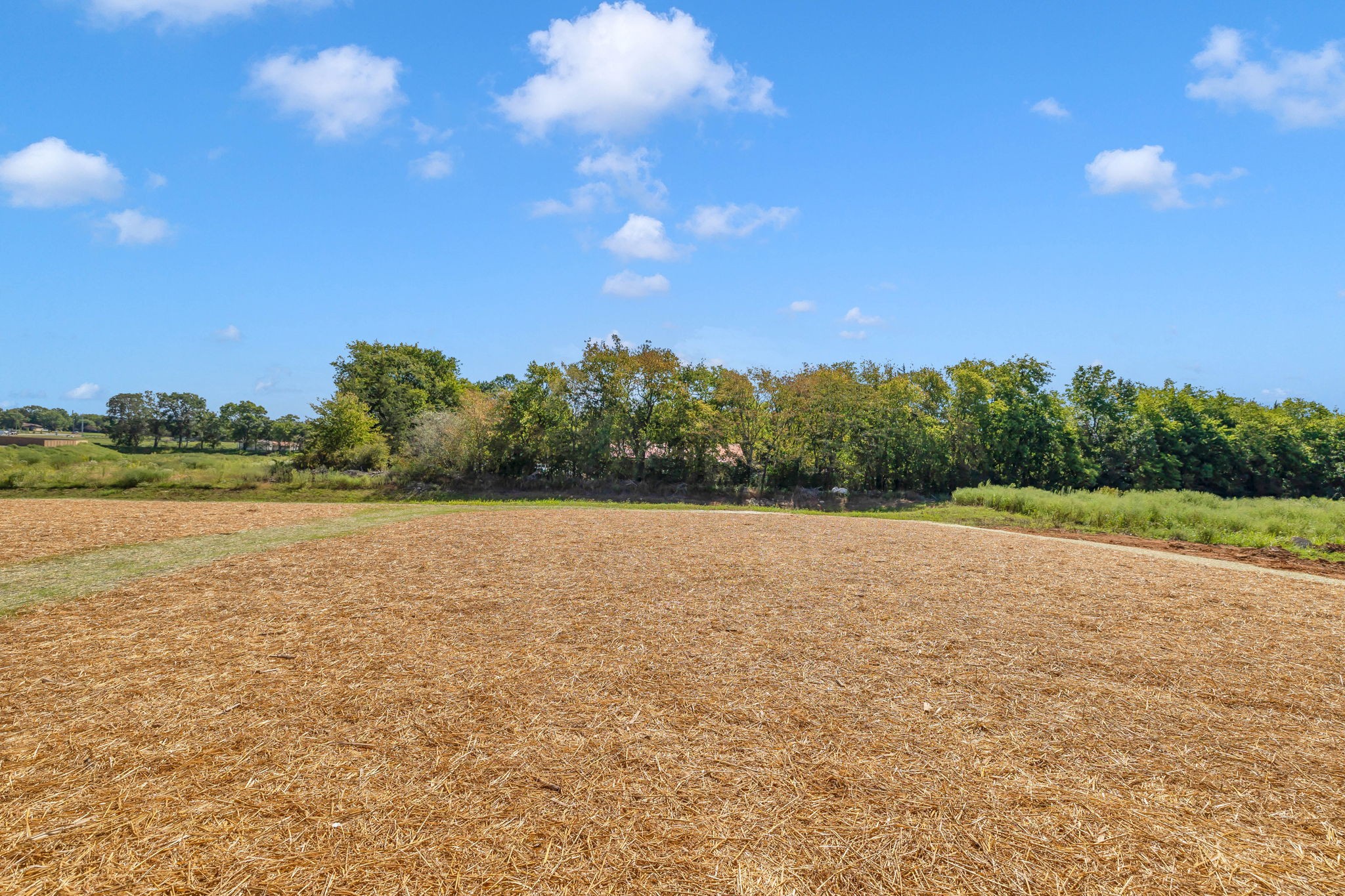 219 Goldfinch Road Mount Juliet, TN 37122 - Photo 56 of 58 a view of an outdoor space and a yard