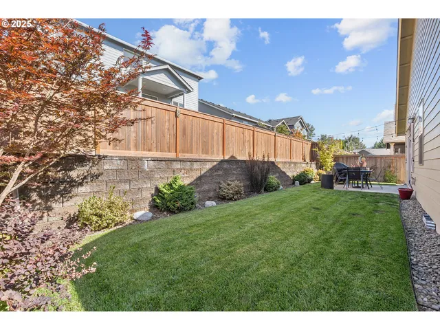 a view of a back yard of the house
