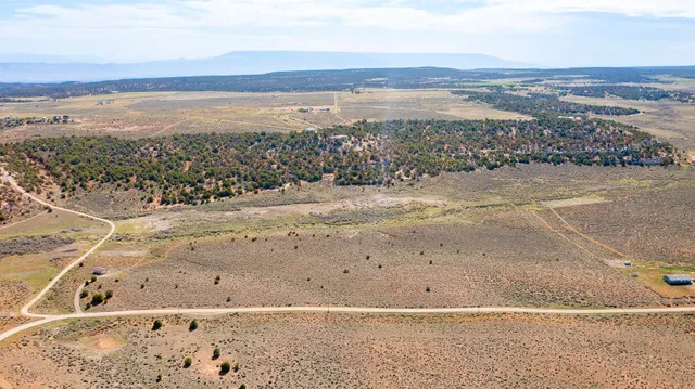 $155,000 | Tbd South Trail Canyon Drive, Glade Park, CO 81523