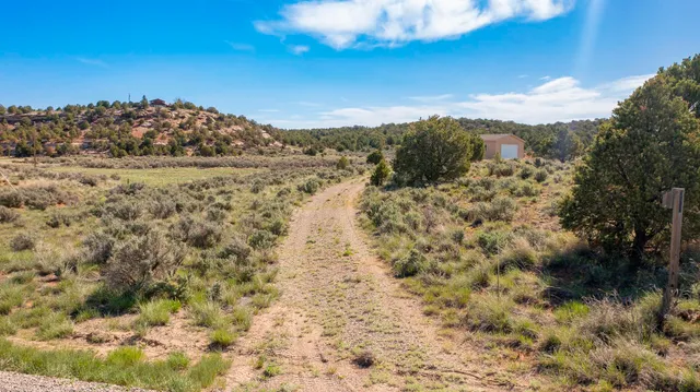 $155,000 | Tbd South Trail Canyon Drive, Glade Park, CO 81523