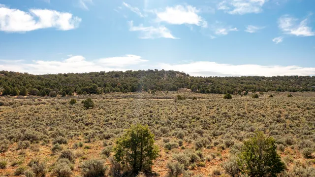 $155,000 | Tbd South Trail Canyon Drive, Glade Park, CO 81523