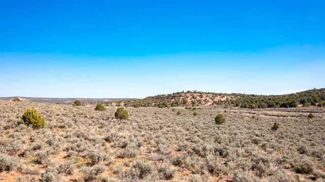 $155,000 | Tbd South Trail Canyon Drive, Glade Park, CO 81523