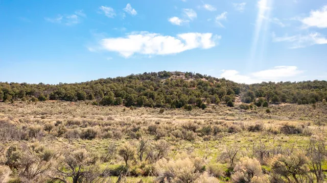 $155,000 | Tbd South Trail Canyon Drive, Glade Park, CO 81523