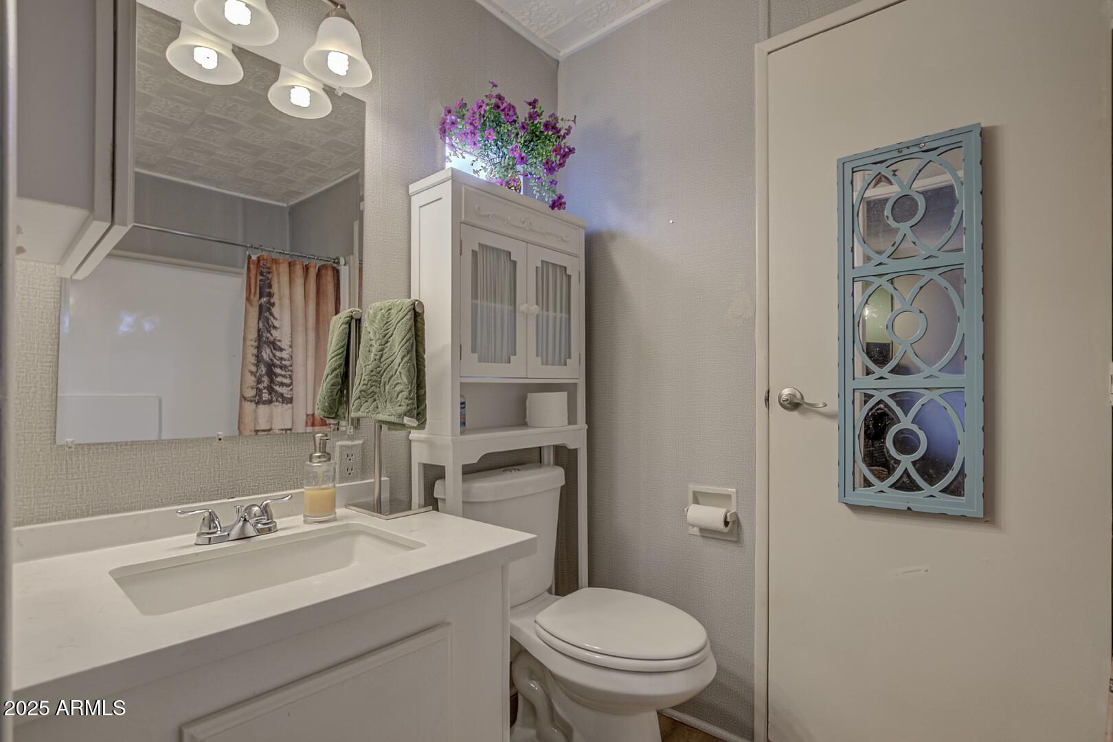1207 West Birchwood Road Payson, AZ 85541 - Photo 20 of 36 Guest Bathroom (1)