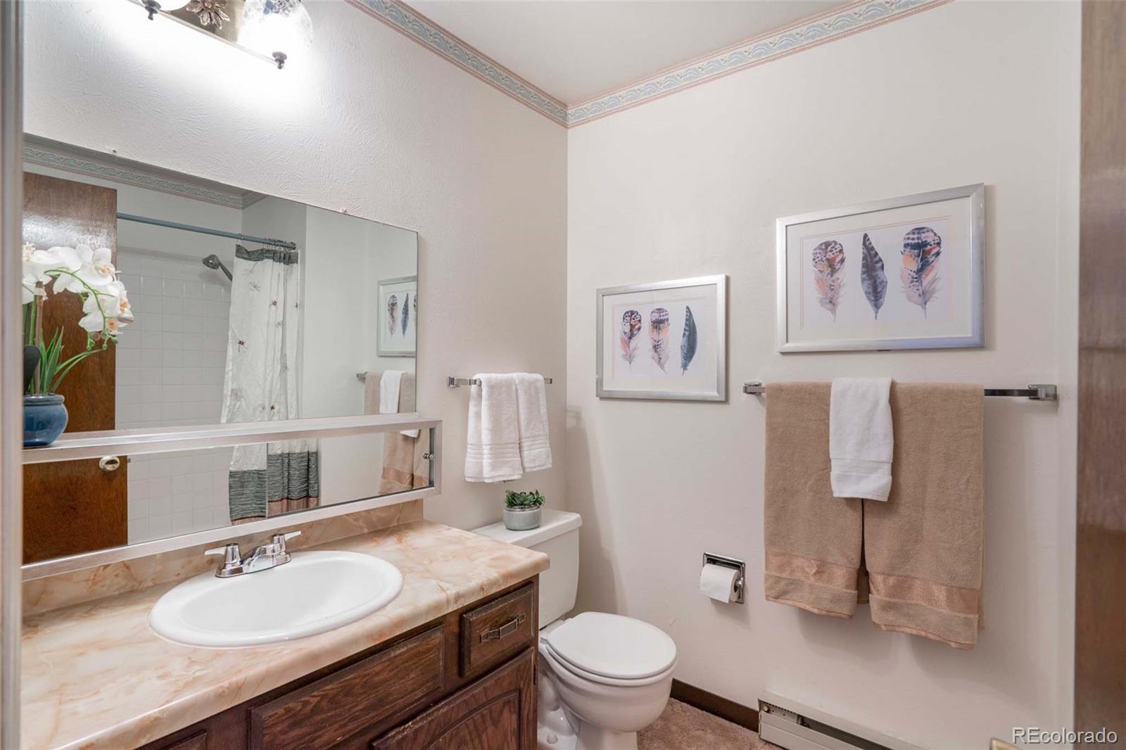 10315 Spring Creek Road Parker, CO 80138 - Photo 19 of 38 Gallery Image 19
